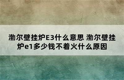 渤尔壁挂炉E3什么意思 渤尔壁挂炉e1多少钱不着火什么原因